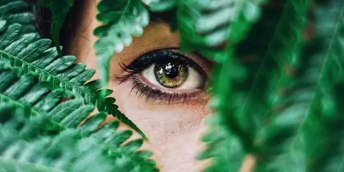 ikusmena eta hura berreskuratzeko ariketak